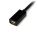 StarTech.com MDPEXT6 DisplayPort kabel 1,8 m mini DisplayPort Sort
